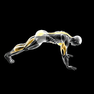 Cobra Push-up demonstration