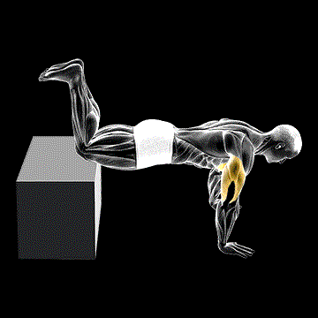 Decline Kneeling Push-up on Box demonstration