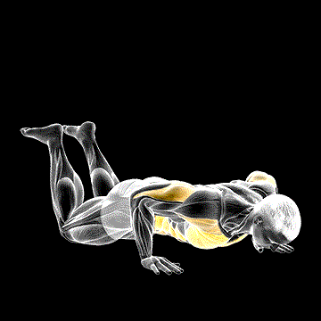 Kneeling Rotational Push-Up demonstration
