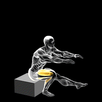 One-Leg Low Box Squat demonstration