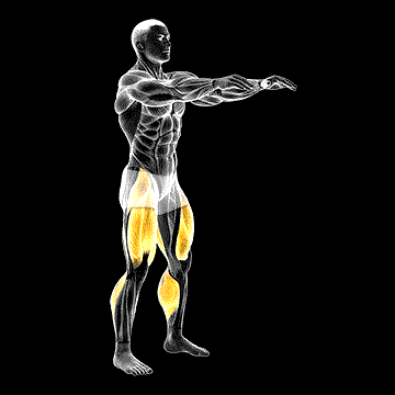 Full Squat Mobility demonstration