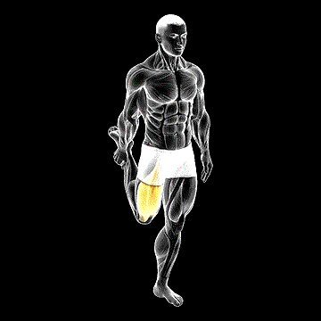 Standing Balance Quadriceps Stretch demonstration