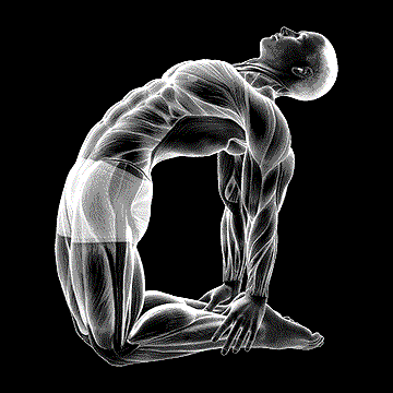 Camel Pose demonstration