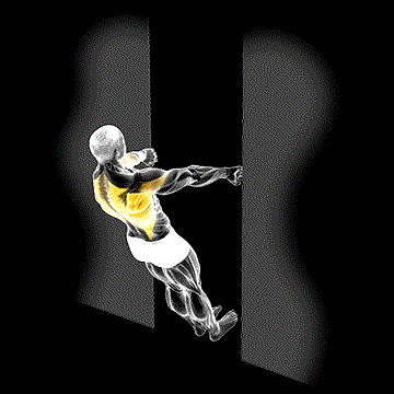 Bodyweight Row in Doorway demonstration