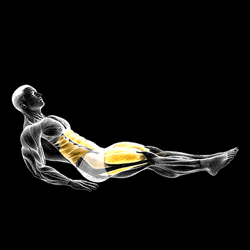 Seated In Out Leg Raise demonstration
