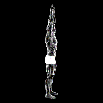 Shoulder Backbend Stretch demonstration