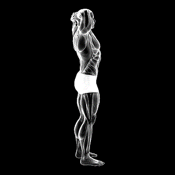 Spine Backbend Stretch demonstration