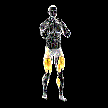 Boxer Shuffle demonstration