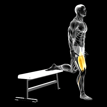 Bulgarian Split Squat demonstration