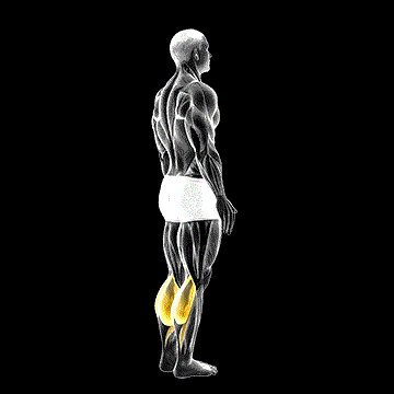 Bodyweight Standing Pulse Calf Raise demonstration