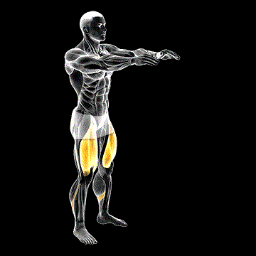 Bodyweight Pulse Squat demonstration