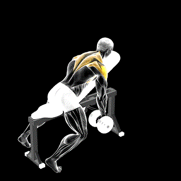 Dumbbell Incline Y Raise demonstration
