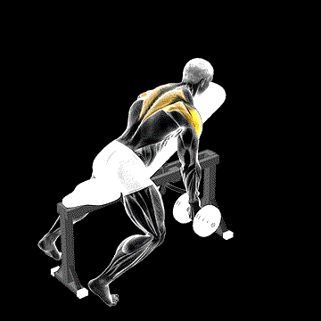 Dumbbell Incline T Raise demonstration