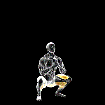 Bodyweight Drop Jump Squat demonstration