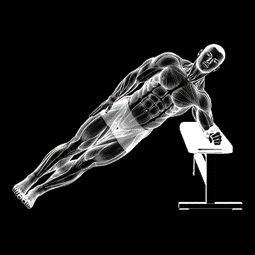 Bodyweight Incline Side Plank demonstration