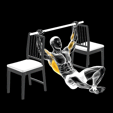 Seated Pull-up Between Chairs demonstration