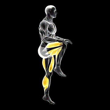 High Knee Run demonstration