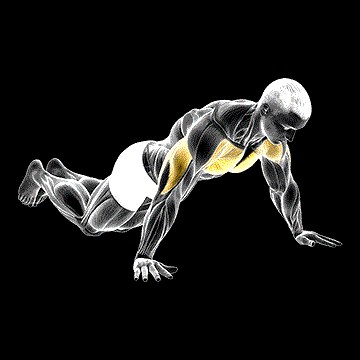Kneeling Wide-Hand Push-Up demonstration