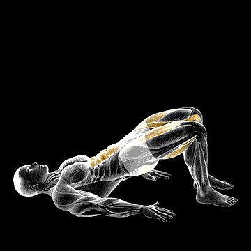 Glute Bridge March demonstration
