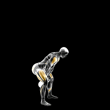 Kettlebell Full Swing demonstration