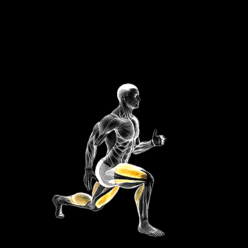 Lunge (w/ Jump) demonstration