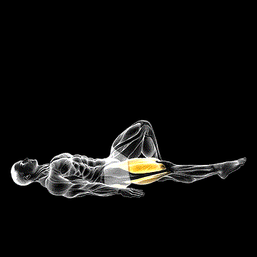 One-Leg Bridge (w/ Hip Flexion) demonstration