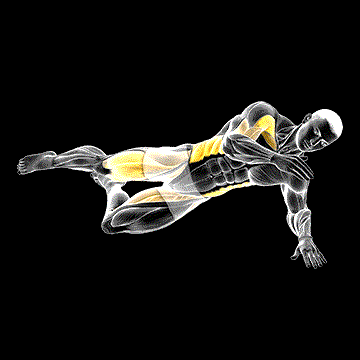 Side Bridge (w/ Arm Leg Swing) demonstration