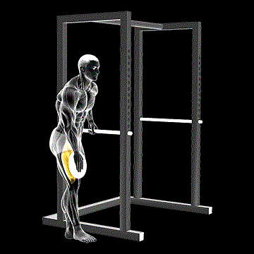 Weighted One-Leg Lift demonstration