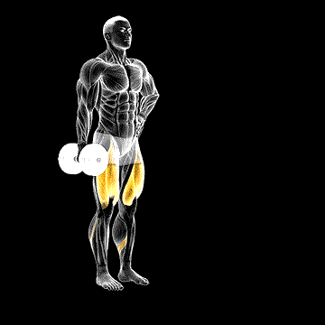 Dumbbell Contralateral Forward Lunge demonstration