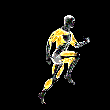 Wheel Run demonstration