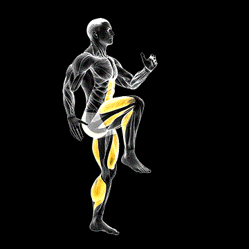 Push-to-Run demonstration