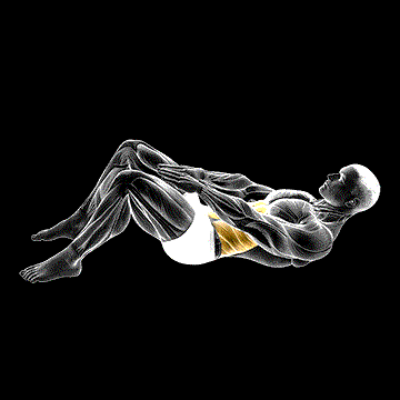 Knee Touch Crunch demonstration