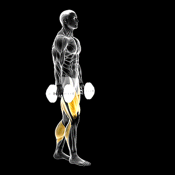 Dumbbell RDL Death March demonstration