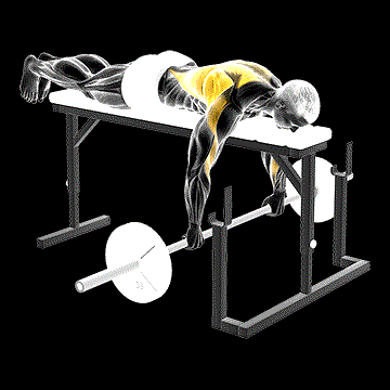 Barbell Lying Row demonstration