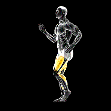 Short Stride Run demonstration