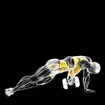 Dumbbell Side Plank (w/ Rear Fly) demonstration