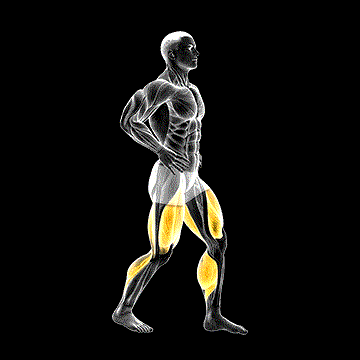 Ski Step demonstration