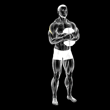 Dumbbell External Rotation demonstration