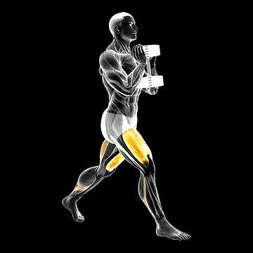 Dumbbell Goblet Split Squat demonstration