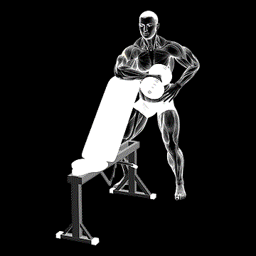 Dumbbell Bench-Supported External Rotation demonstration