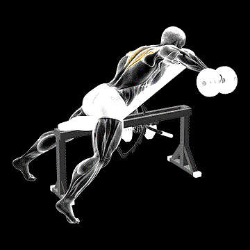 Dumbbell Incline Alternate Reverse Fly demonstration