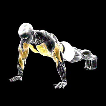 Shoulder Tap demonstration