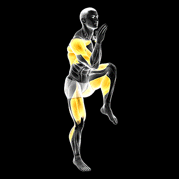 High Knee Sprint demonstration