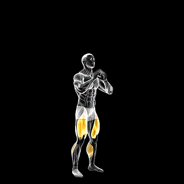 Double Jump Squat demonstration