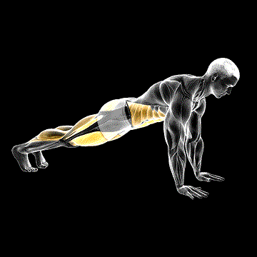 Squat Thrust demonstration