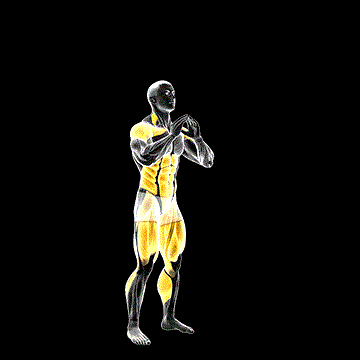 Squat Tuck Jump demonstration