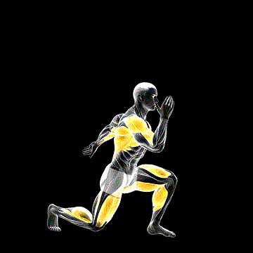 Cardio Lunge demonstration