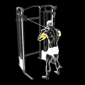 Cable Standing High Cross Triceps Extension demonstration