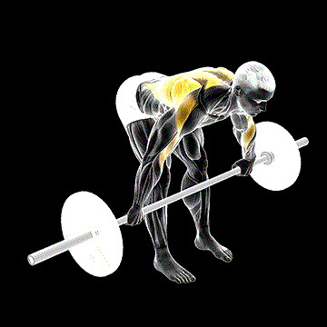 Barbell Bent-over Wide Grip Row demonstration