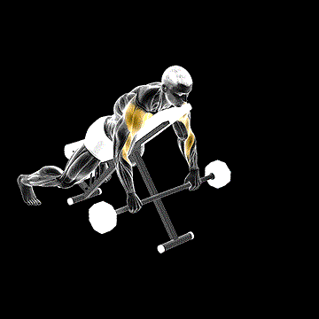 Barbell Incline Lying Rear Delt Raise demonstration
